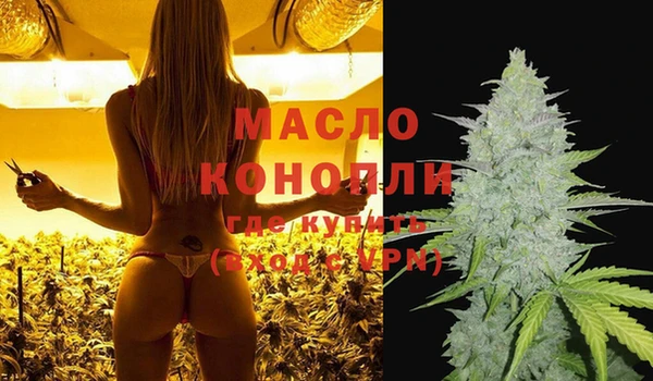 мяу мяу кристалл Гусь-Хрустальный