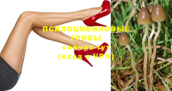 кокаин Гусев