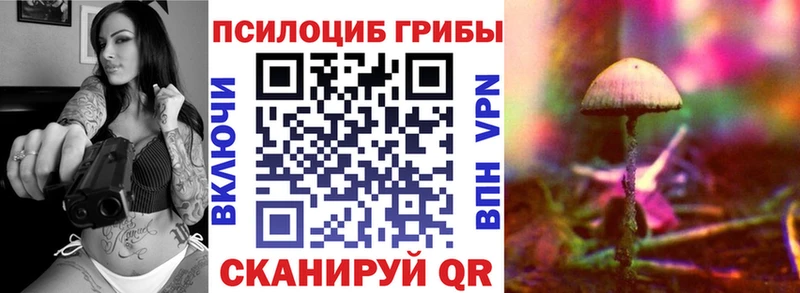 где купить наркотик  Камызяк  Псилоцибиновые грибы Psilocybine cubensis 