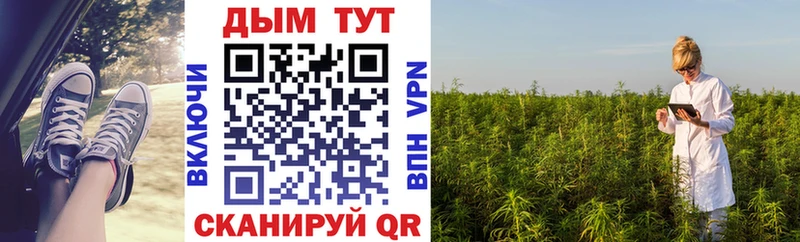 что такое Камызяк Бошки Шишки тримм